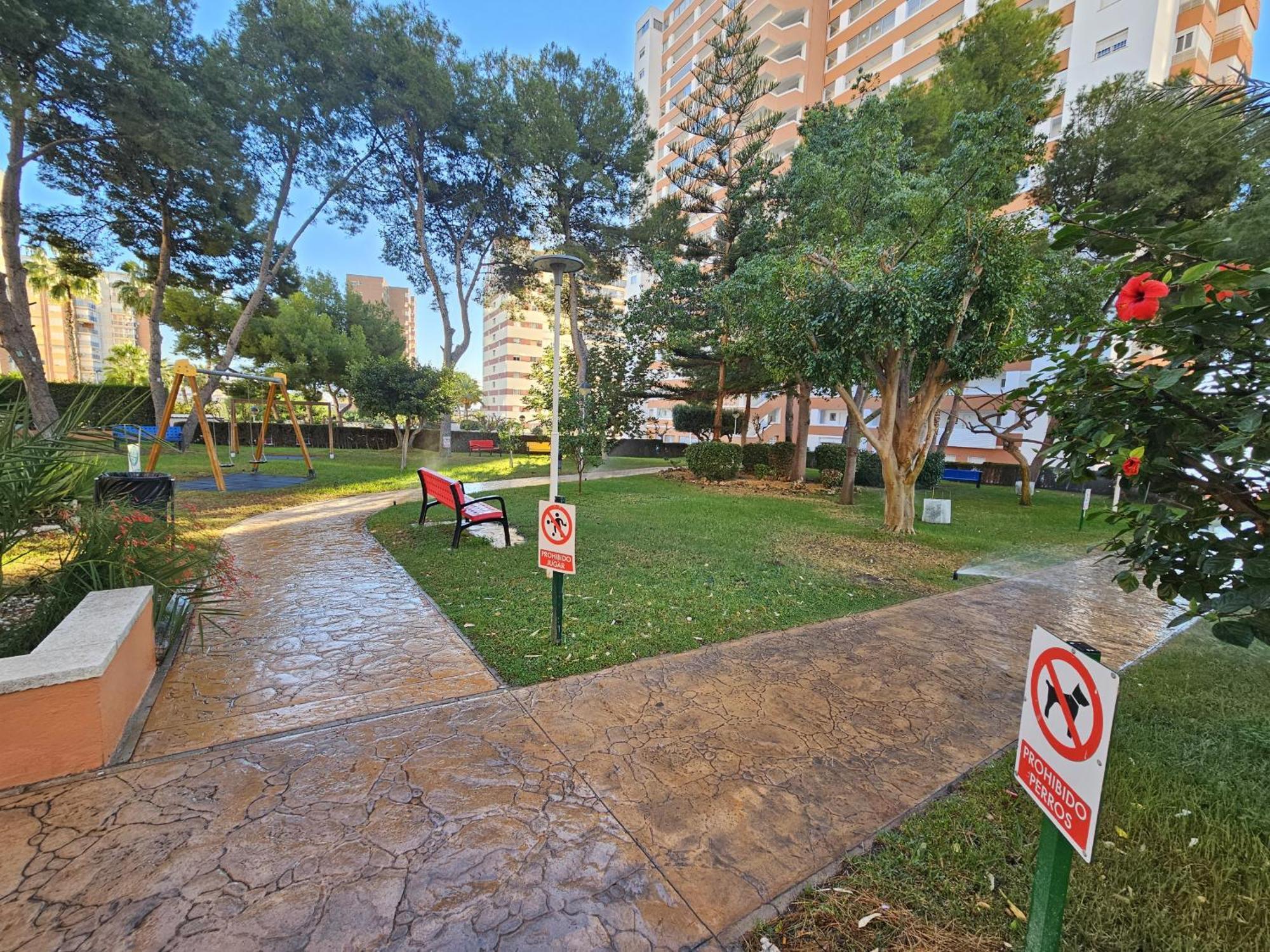 Apartamento Provima B 16 If Benidorm Eksteriør bilde